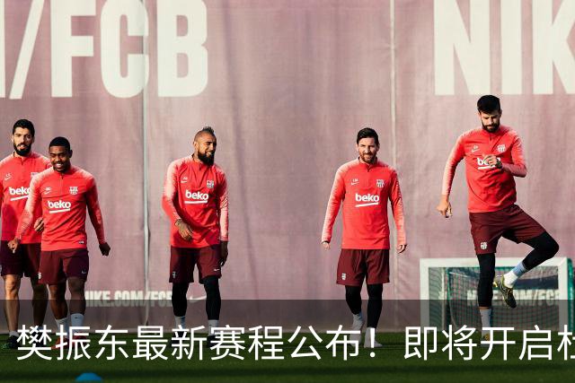 樊振东最新赛程公布！即将开启杜塞球员生涯，出战德甲联赛德国杯