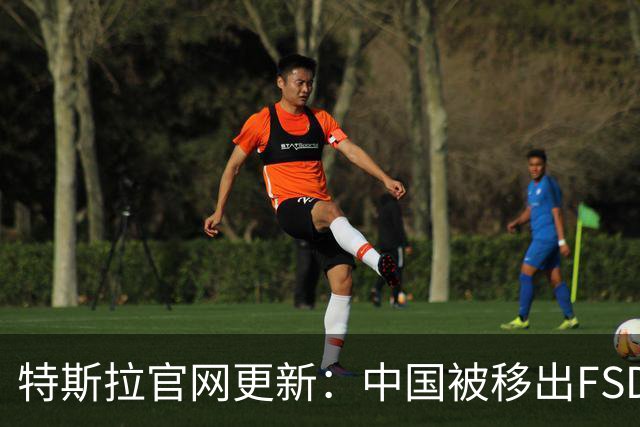 特斯拉官网更新：中国被移出FSD可使用地区